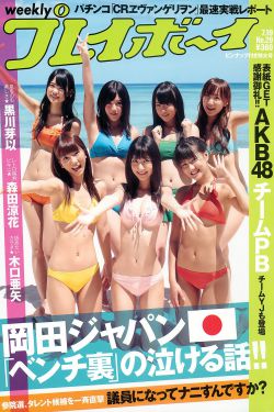 电视剧嫂子